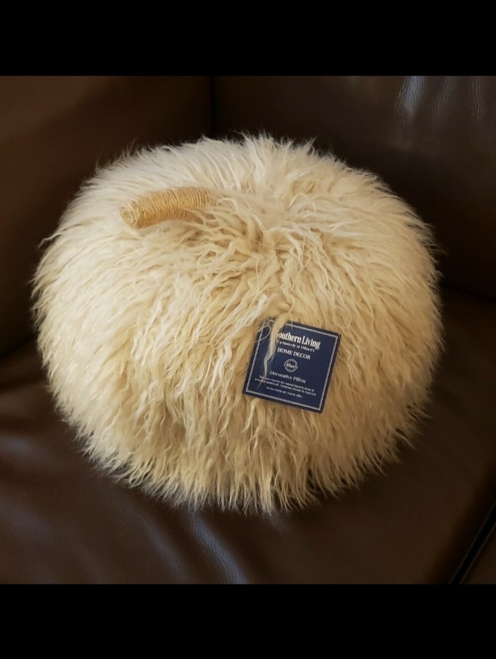 Southern Living Fall Pumpkin PillowDecorative Pillow